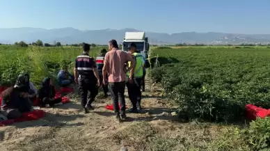 Tarlada uyuyan 6 yaşındaki Ayşenur'dan acı haber! Yakınları şoförü öldürdü