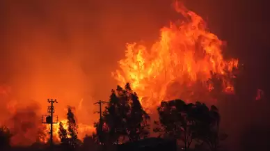 Türkiye kabusu yaşıyor! İzmir, Aydın ve Bolu’da ciğerlerimizi yakan kareler