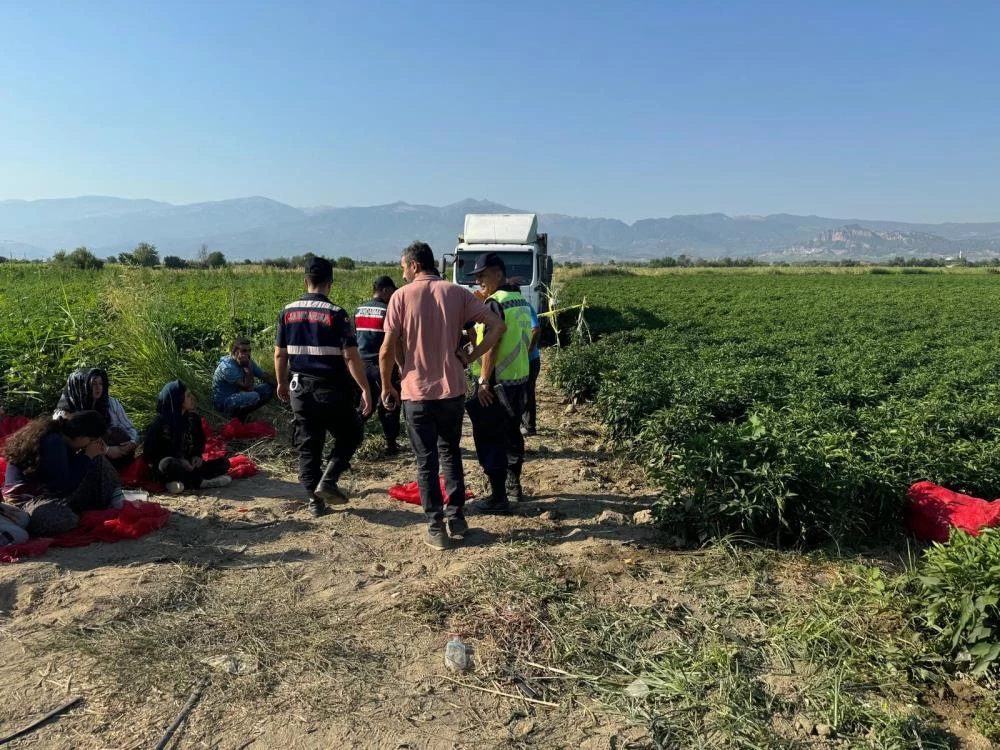 Tarlada uyuyan 6 yaşındaki Ayşenur'dan acı haber! Yakınları şoförü öldürdü